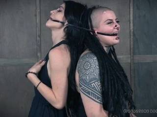 Глотает сборник порно